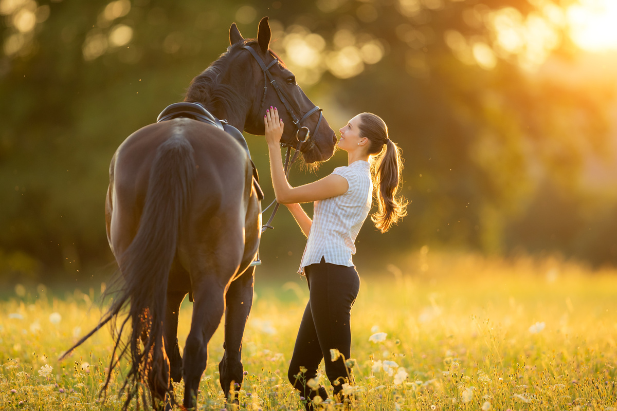 Il cavallo più grande del mondo: ecco 15 razze che stupiscono!