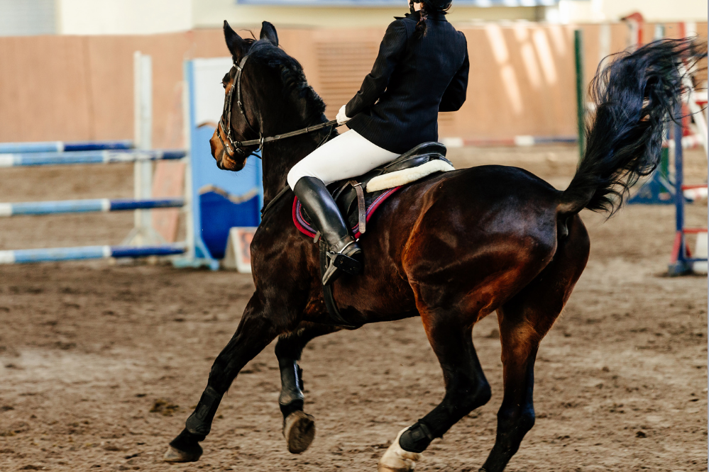 Equitazione: capire cos'è, i suoi benefici e i consigli per iniziare a praticarla